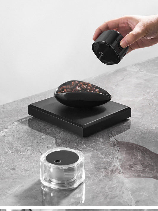 Electric coffee bean sprayer