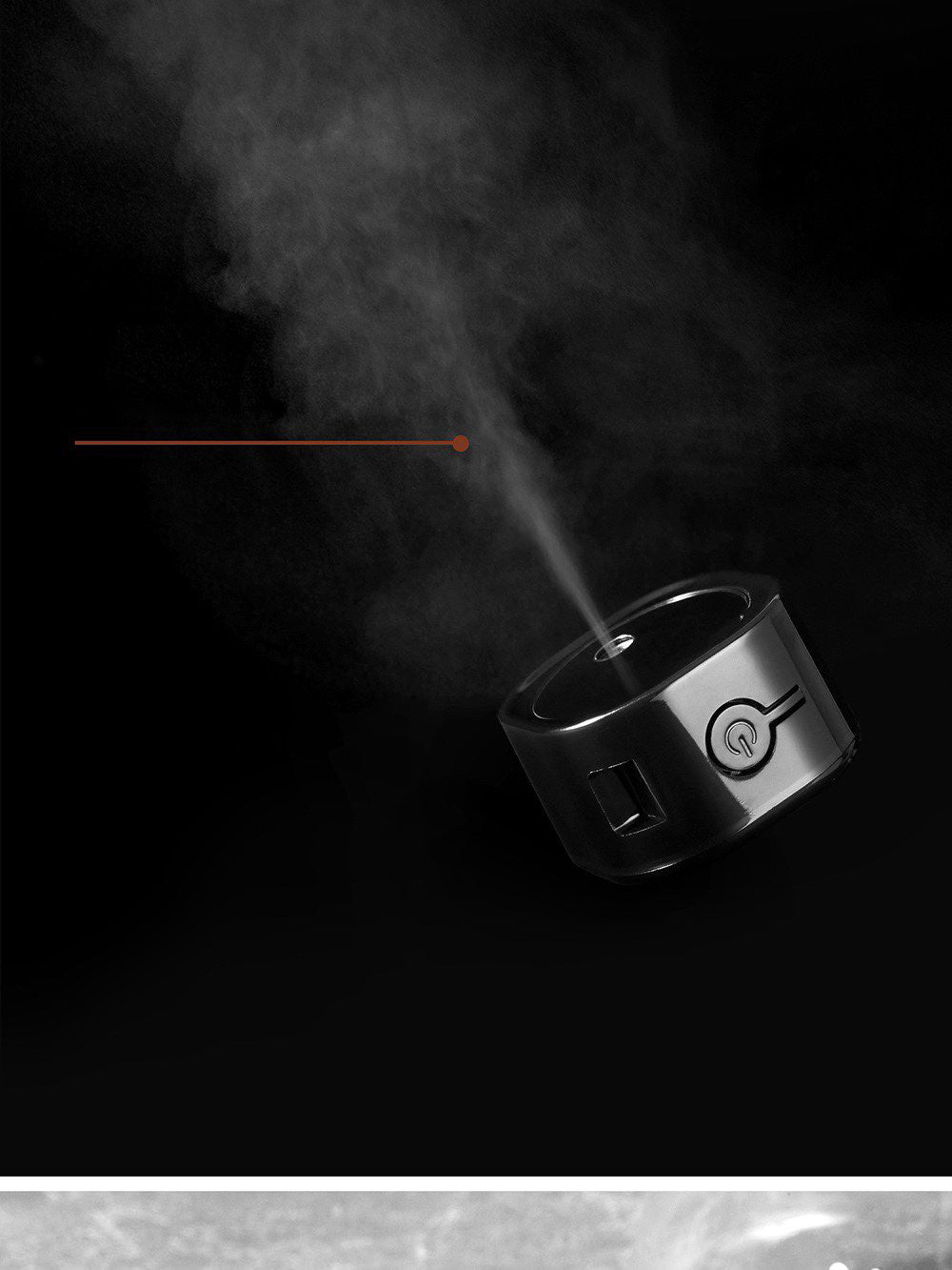 Electric coffee bean sprayer